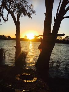 eine Person, die neben einem Baum steht, mit dem Sonnenuntergang im Hintergrund in der Unterkunft Rivershack Pet Friendly in Renmark