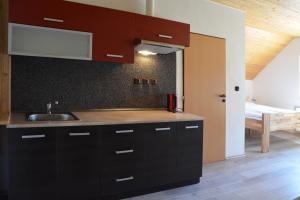 Kuchyň nebo kuchyňský kout v ubytování Apartmán U Brabců