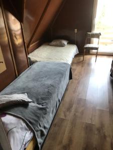 Gallery image of Stefanka in Zakopane