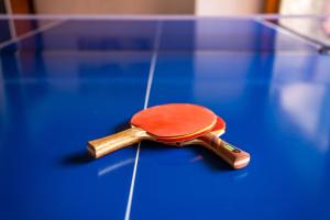 Stolní tenis v ubytování Apartments Mikanović nebo okolí