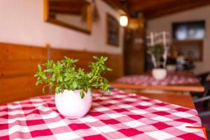 Fotografie z fotogalerie ubytování Apartments Mikanović v destinaci Crikvenica