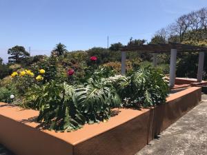 Ogród w obiekcie Casa Asuncion