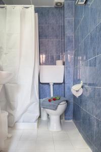 een blauwe betegelde badkamer met een toilet en een douche bij Talos in Chania