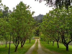 Gallery image of Finca El Remanso in Mondoñedo