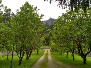 a dirt road through a field with trees at Finca El Remanso in Mondoñedo