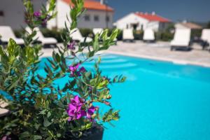 Bazén v ubytování B&B Villa Maris Punat nebo v jeho okolí