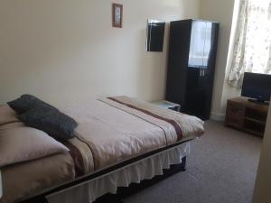 TV a/nebo společenská místnost v ubytování Arman Lodge House