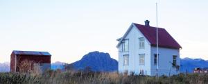 a white house and a barn on a field at Villa Lofoten - The Farmhouse in Kvalnes +30 photos