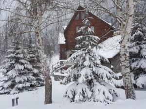un sapin de Noël enneigé devant une église dans l'établissement Fortuna Eco - Boutique Hotel, à Băile Tuşnad