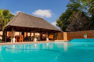 a large swimming pool with a thatch roof at Tambati Overnight and Conference Center in Polokwane