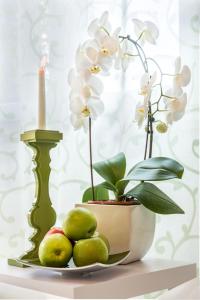 Gallery image of SERENA HOME in Villasimius