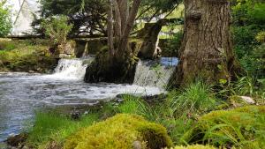 Gallery image of Le Moulin Hodoux in Luynes