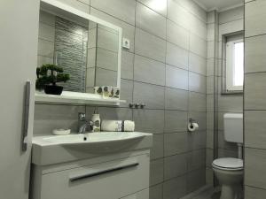 Koupelna v ubytování Apartman Danijela + 37 fotografií