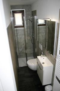 een badkamer met een douche, een toilet en een wastafel bij Cà alla Pòssa in Malcesine