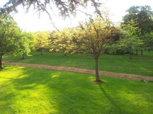 a tree in the middle of a green field at Domaine du Bocage in Chavagnes-en-Paillers