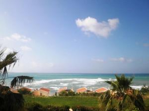 a view of a beach with the ocean and houses at Happy Holiday in Coral Bay