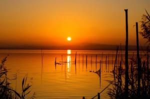 a sunset on a lake with a boat in the water at Sofia's Flat in Valencia