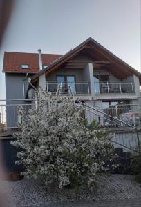 Budova, v ktorej sa ubytovanie bed & breakfast nachádza