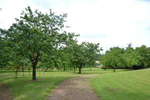 a field with trees and a dirt road at Domaine du Bocage in Chavagnes-en-Paillers