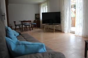 TV a/nebo společenská místnost v ubytování Ferienhaus Storchennest