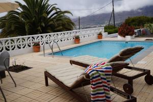 a swimming pool with a chaise lounger next to avisor at Casa Aloe in El Paso