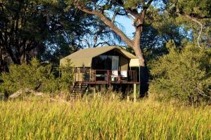 Příroda nedaleko luxury tent + 53 fotografií