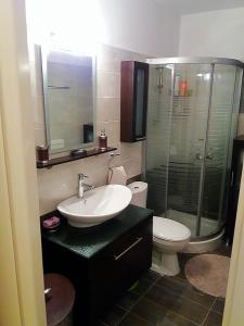 La salle de bains est pourvue d'un lavabo, de toilettes et d'une douche. dans l'établissement Themis Apartments, à Sami