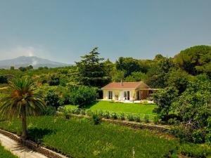 Afbeelding uit fotogalerij van Villa Palm Hill in Piedimonte Etneo