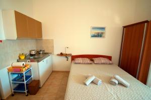 Kuchyň nebo kuchyňský kout v ubytování STUDIO APARTMAN STARA BAŠKA