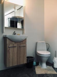 Vonios kambarys apgyvendinimo įstaigoje Room in a Scandinavian Style House