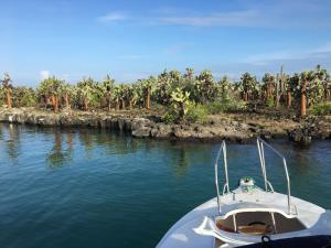 un barco sentado en el agua al lado de una isla en New Galapagos Hostelling, en Puerto Ayora