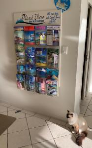 Foto sihtkohas Airlie Beach asuva majutusasutuse Island Views galeriist
