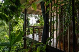 Gallery image of La Loma Jungle Lodge and Chocolate Farm in Bocas Town