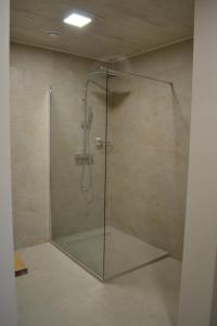 W łazience znajduje się prysznic ze szklanymi drzwiami. w obiekcie B&B Allegambe's Goed w mieście Zedelgem