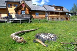 ein großes Holzhaus mit einer Feuerstelle im Hof in der Unterkunft Lärchenhütte in Tauplitzalm