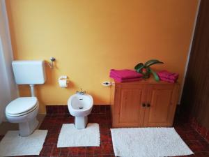 a bathroom with a toilet and a sink with towels at Apartment Mlakar in Bohinj