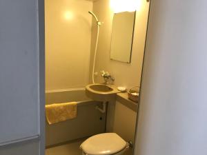 立科町にあるプチホテル くるみとみるくのバスルーム(トイレ、洗面台、バスタブ付)