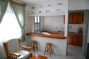 Kuchyň nebo kuchyňský kout v ubytování Apartamentos San Sebastián