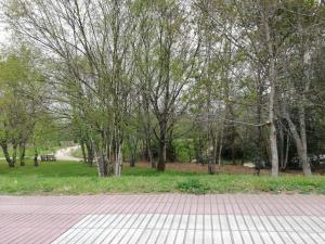 Zdjęcie z galerii obiektu Apartamento SIGÜEIRO CAMINO INGLÉS (English Way) w mieście Sigüeiro