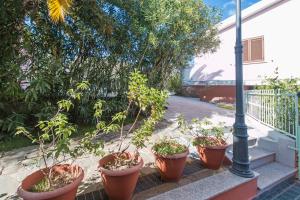 una fila de plantas en macetas sentadas en un porche en Appartamento Gli Ontani, en Cala Liberotto