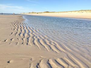 ヘルヌムにあるLachmoeweの砂浜と水の波紋のある浜