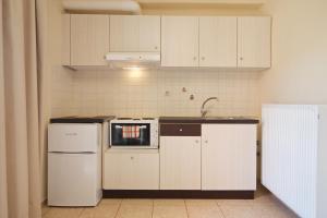 מטבח או מטבחון ב-Minas Apartments