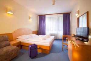 TV a/nebo společenská místnost v ubytování Terme Topolsica - Hotel Vesna