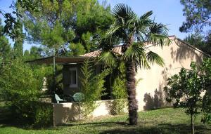 uma palmeira em frente a uma casa em Gîte de charme em Mirabel-aux-Baronnies
