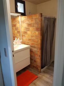 uma casa de banho com um lavatório e uma parede de tijolos em Gîte de charme em Mirabel-aux-Baronnies