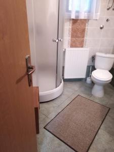 a bathroom with a shower and a toilet and a rug at Guest House Šumski dvor in Vrhovine