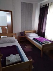 Vrhovine的住宿－森林球場旅館，一间卧室配有两张床和镜子