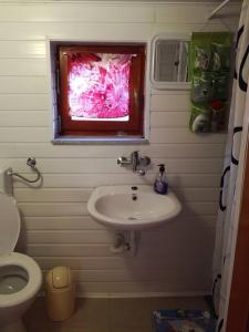 a bathroom with a sink and a window at Epicentar, house for rent, sobe - Ivanec in Ivanec