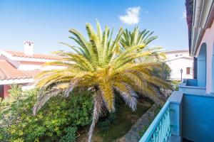 a palm tree on the side of a balcony at Albergo Residenziale Gli Ontani in Cala Liberotto