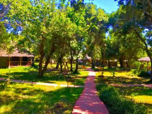 a path in a park with benches and trees at Mara Chui Eco-Resort in Sekenani